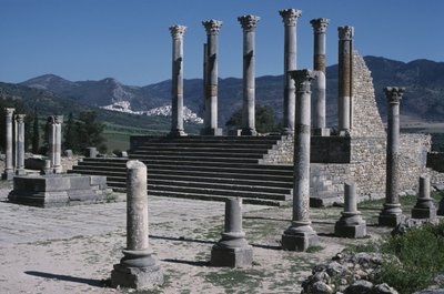 View of the Capitol by Roman